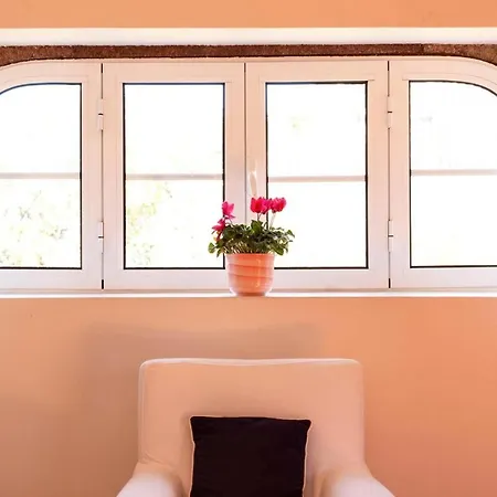 Casa Videira Apartment *